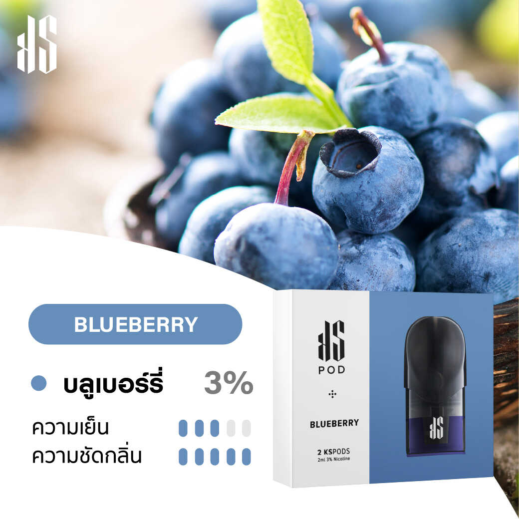 KARDINAL STICK Pods Blueberry