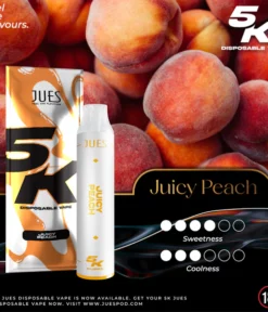 jues 5000 puff juicy peach