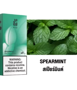 Ks Kurve Pod 2.5 Spearmint