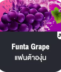 vmc 12000 puff funta grape