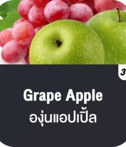 vmc 12000 puff grape apple