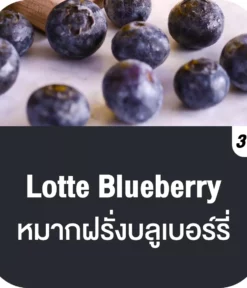 vmc 12000 puff lotte blueberry