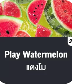 vmc 12000 puff play watermelon