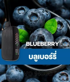 relx novo 14000 puff Blueberry