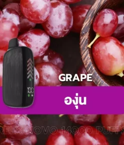 relx novo 14000 puff Grape