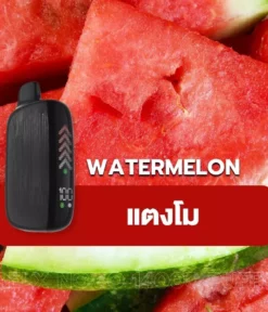 relx novo 14000 puff Watermelon