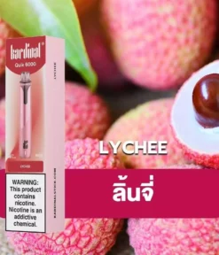 Ks Quik 6000 Puff Lychee