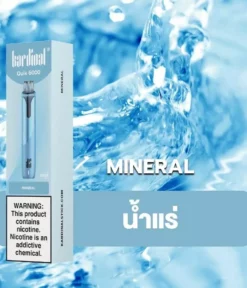 Ks Quik 6000 Puff Mineral