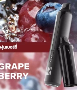 Ks Quik Pro 15000 Puff Grape Berry starter Kit