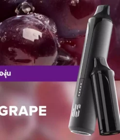 Ks Quik Pro 15000 Puff Grape starter Kit