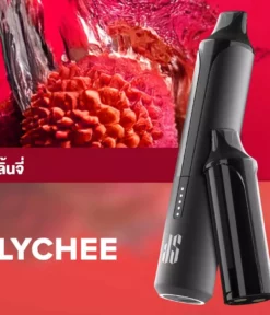 Ks Quik Pro 15000 Puff Lychee starter Kit