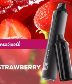 Ks Quik Pro 15000 Puff Strawberry starter Kit